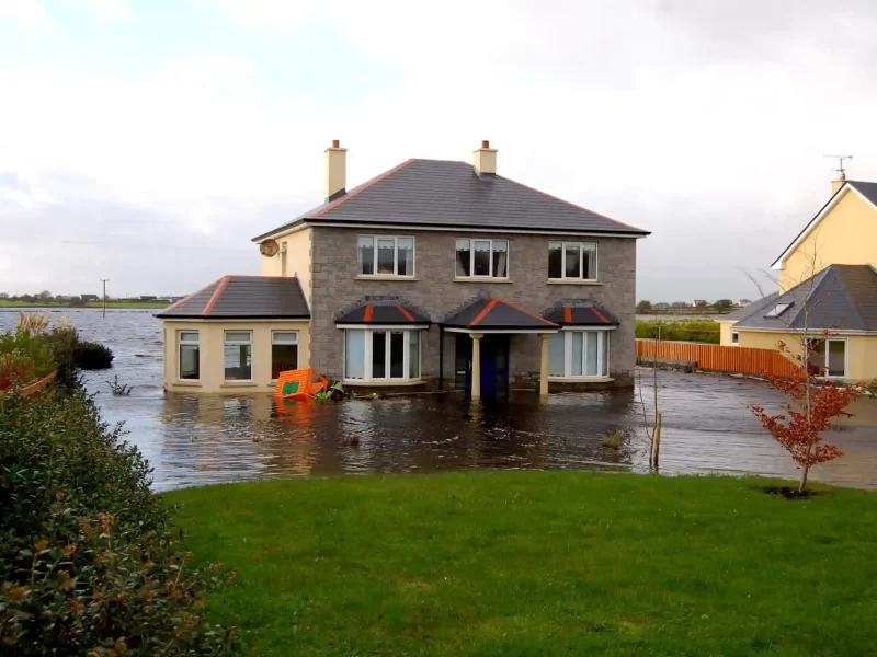 Flood and Fire Restoration